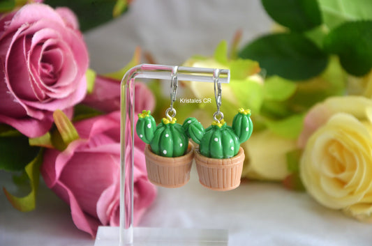 Aretes Cactus